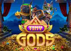 3 Tiny Gods