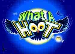 What A Hoot