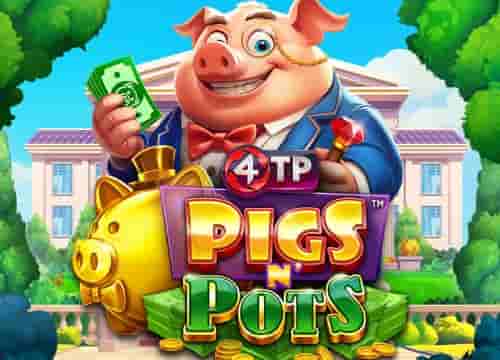 4tp Pigs N Pots