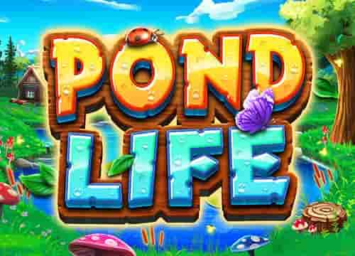 Pond Life