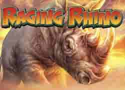 Raging Rhino