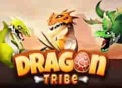 Dragon Tribe