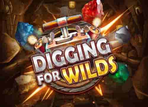 Digging For Wilds