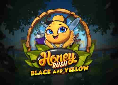 Honey Rush Black and Yellow