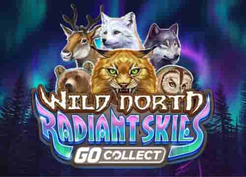 Wild North Radiant Skies Go Collect