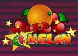 Wild Melon