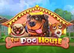 The Dog House