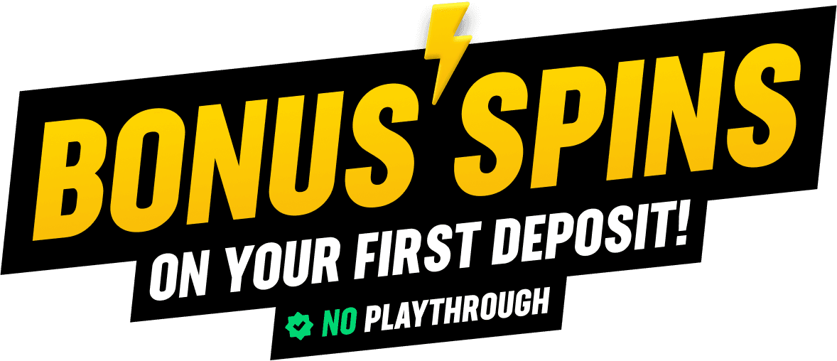 fs logo