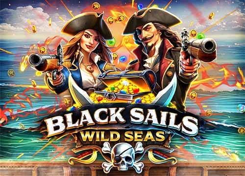 Black Sails Wild Seas