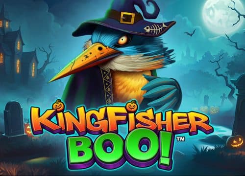 Kingfisher Boo