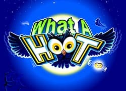 What A Hoot