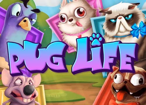 Pug Life