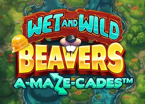 Wet and Wild Beavers