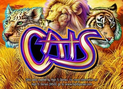 Cats