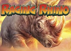 Raging Rhino