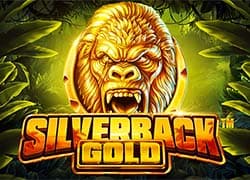 Silverback Gold