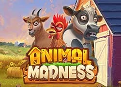Animal Madness