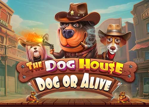 The Dog House - Dog or Alive